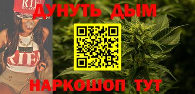 сатива Бийск