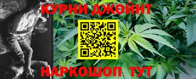 сатива Бийск