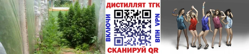 даркнет сайт  Кемерово  shop формула  Дистиллят ТГК жижа 
