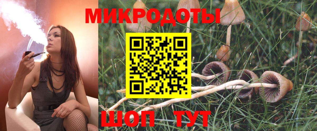 Галлюциногенные грибы MAGIC MUSHROOMS Кемерово